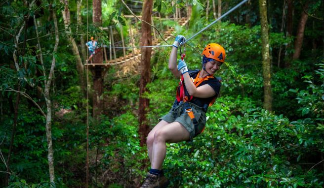 In luftiger Höhe durch einen der ältesten Regenwälder der Erde: Das geht im neuen Park von Treetops Adventure im Norden Queenslands.
