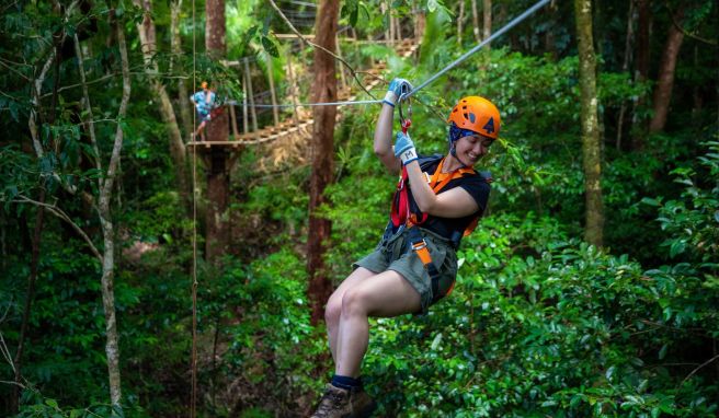 Neues aus der Reisewelt  Wie wär's mit Regenwald-Action oder einer Schimpfwort-Schau?