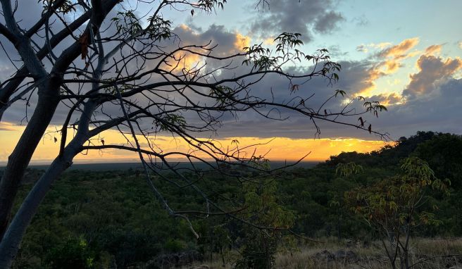 Der Undara-Volcanic-Nationalpark liegt im Landesinneren von Queensland. Undara bedeutet «langer Weg». 