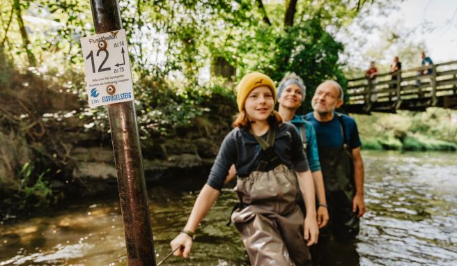 Wathose an und hinein ins Wasser: Der Eisvogelsteig führt durch den Fluss Chamb.