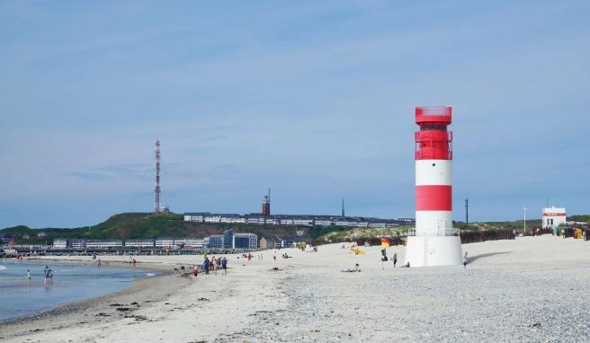 Zelten mit Seehunden Urlaub auf der Helgoländer Düne