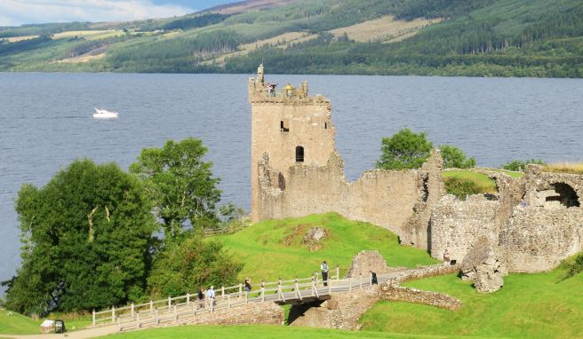 Urquhart Castle am Loch Ness: Von hier lässt sich der See gut überblicken.