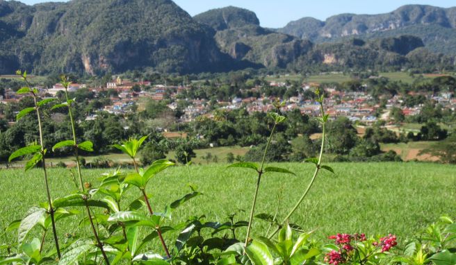 Das Viñales-Tal im Westen Kubas ist Nationalpark und Unesco-Welterbe. 