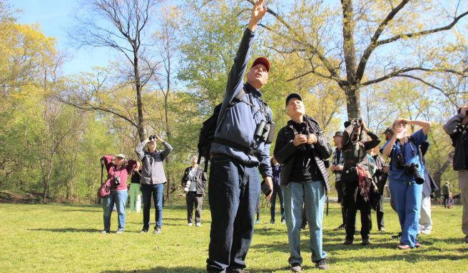 Vogelparadies  «Birding Bob» bringt New Yorker zur Natur im Central Park