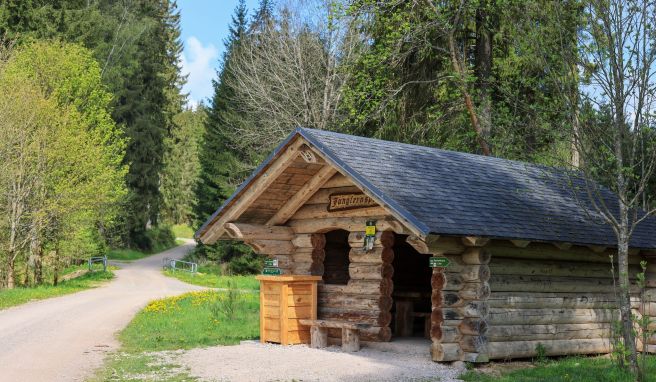 Zahlreiche ehrenamtliche Wegwarte sind in Sachsen für die Pflege und den Erhalt der Wanderwege zuständig.