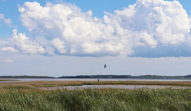 Erholung am Bodden  Ostsee: Mit dem Rad durch Deutschlands Meeresnationalpark