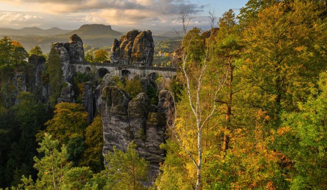 Sonnenlicht fällt am Morgen auf die Bäume im Nationalpark Sächsische Schweiz nahe der Basteibrücke. Das Parkmanagement weist Wanderer bereits zum Start in die Saison auf die hohe Brandgefahr hin.