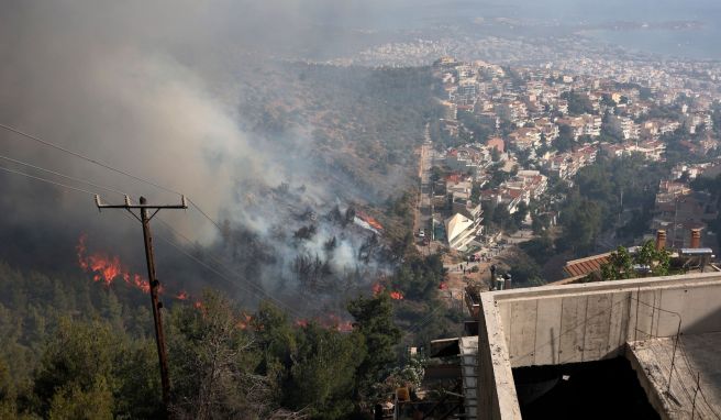 Waldbrandgefahr in Griechenland steigt Meteorologen warnen