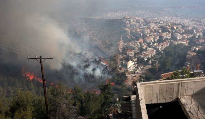 Meteorologen warnen  Waldbrandgefahr in Griechenland steigt