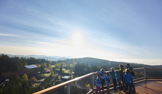 Für alle: Der Waldwipfelweg ist barrierefrei und somit auch Kinderwagen oder Rollstuhl befahrbar.