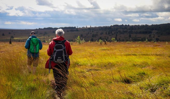 Ein Farbschauspiel, wenn der Himmel aufreißt: Die vielfältige Vegetation macht das Hochmoor so besonders. Ein Farbschauspiel, wenn der Himmel aufreißt: Die vielfältige Vegetation macht das Hochmoor so besonders.