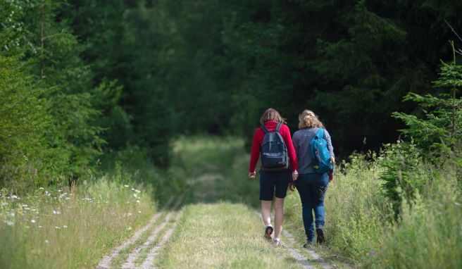 Wanderinnen am Grünen Band im Harz: Künftig kann auch auf der neuen länderübergreifenden Wanderroute «Grenzerfahrung Grünes Band» das ehemalige Grenzgebiet erkundet werden.