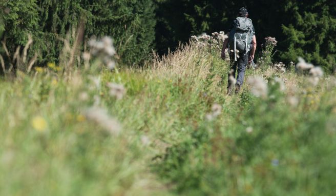 Naturschutz  Nationalpark Harz geht gegen «digitale» Wanderwege vor