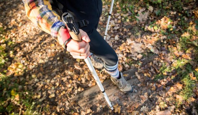 Bunt unterwegs: Der Herbst ist eine reizvolle Wandersaison - birgt allerdings auch potenzielle Risiken und Besonderheiten, die man beachten sollte.