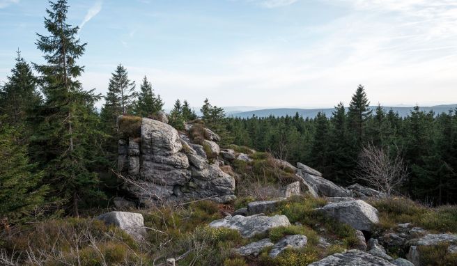 Schneemangel durchkreuzt im Fichtelgebirge derzeit das Pistenvergnügen. Dafür startet am 18. Januar der 5. deutsche Winterwandertag.