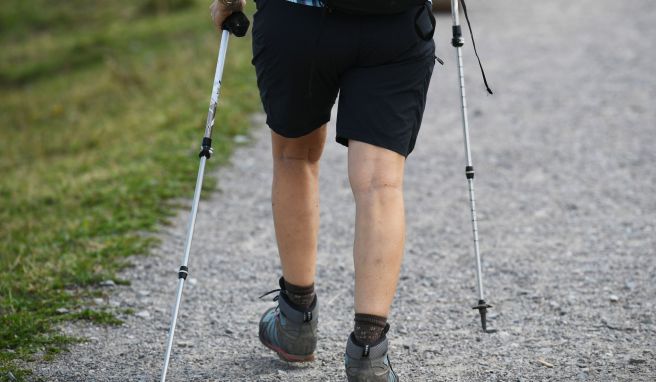 Schonen Gelenke und Wirbelsäule: Wanderstöcke. Experten raten besonders beim Bergablaufen zum Einsatz der komfortablen Begleiter. 