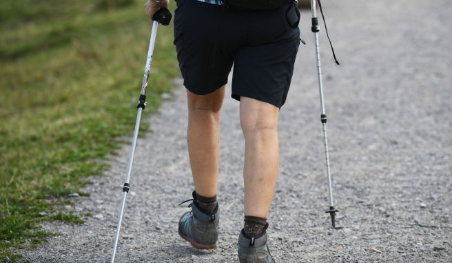 Nützliche Helfer am Berg  Wanderstöcke richtig verwenden