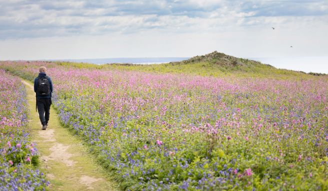 Pembrokeshire Coast Path Wales' wilder Wanderweg: Mehr Küste geht nicht