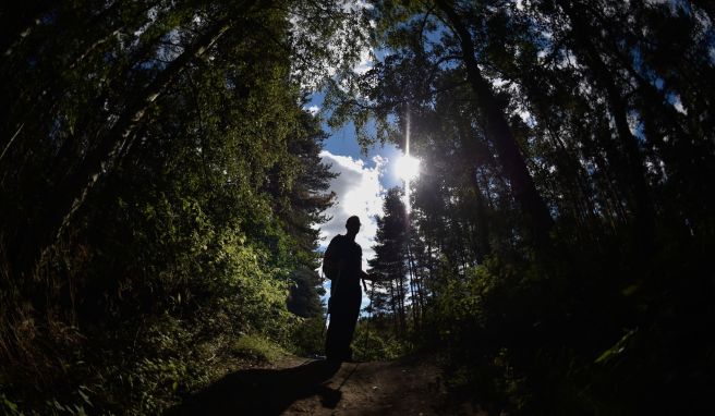 BGH-Entscheidung Wanderer in Wäldern müssen selbst für ihre Sicherheit sorgen