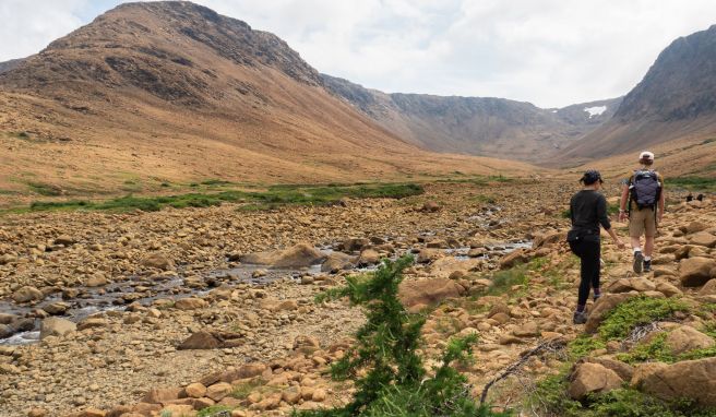 Von wegen nur Steine: In den Tablelands teilt sich die Landschaft eindrucksvoll mit.