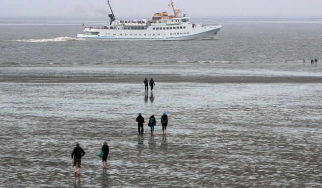 Nordseeurlaub  Büsum: Krabben, Kutter und ein Kapitän