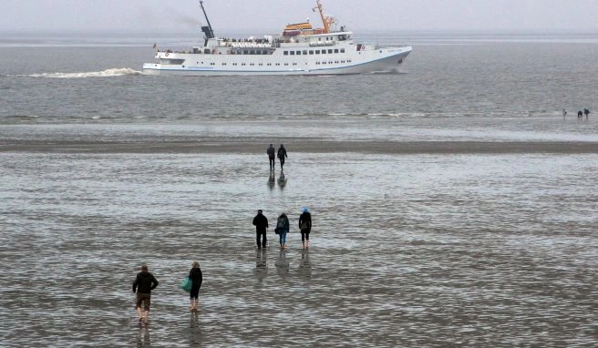 Nordseeurlaub Büsum: Krabben, Kutter und ein Kapitän
