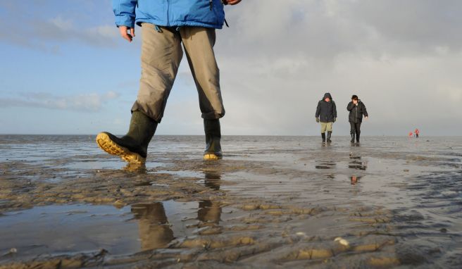 Bewegung an frischer Luft: Wattwandern zählt im Winter zu den beliebten Aktivitäten. 