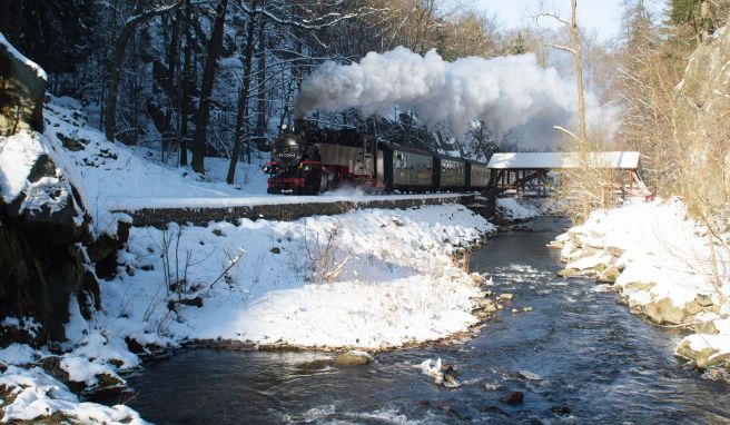 Bei Schneemangel  Was Sachsen Winterurlaubern abseits der Pisten bietet