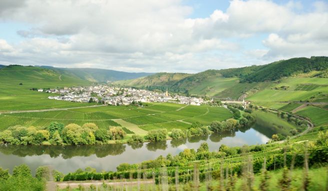 Überall Reben: Die Moselregion verbinden viele Menschen zurecht in erster Linie mit Weinanbau.