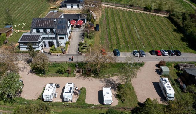 Wohnmobilstellplätze auf dem Gelände eines Weinguts im Rheingau in Eltville-Erbach. Alternative Stellplatzangebote auf dem Weingut und Bauernhof sind bei Campern beliebt.