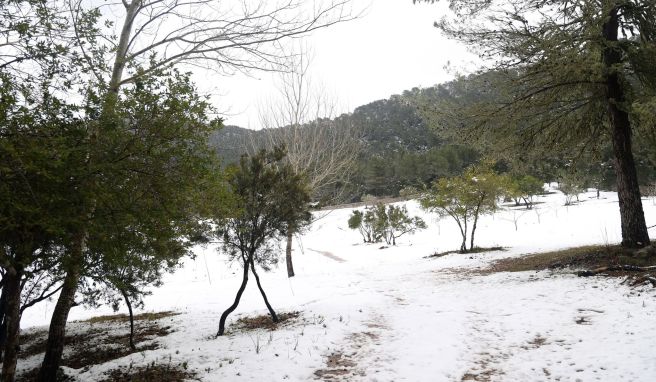 Serra de Tramuntana in Weiß  Bis zu einem Meter Schnee auf Mallorca