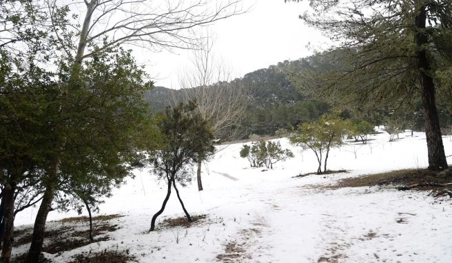 Die Serra de Tramuntana auf Mallorca ist aktuell schneebedeckt.