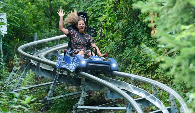 Hauptstadt-Highlight In Berlin fährt wieder eine Sommerrodelbahn