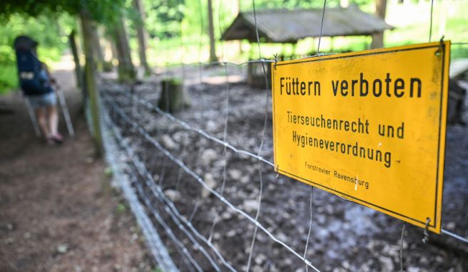 Tier-Tourismus  Wildgehege oder Bauernhof: Was Besucher oft verkehrt machen