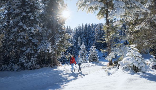 Zu Fuß durch verschneite Landschaften: Winterwandern wird von den Destinationen als Alternative zum Skifahren oder anderem Wintersport gerade gepusht.