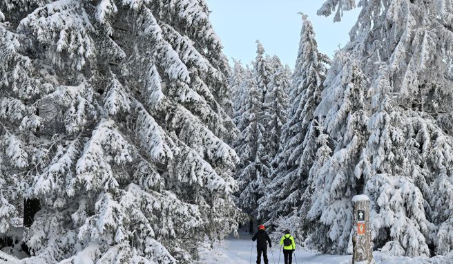 Verschneite Wälder sind für viele Urlauber ein Pluspunkt.