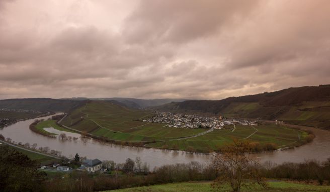 Die Sperrung der Mosel nach einem Schleusen-Unfall betrifft die Flusskreuzfahrt erheblich.