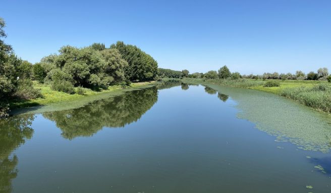 Das Delta, dass die Wolga vor der Mündung ins Kaspische Meer bildet, ist weitläufig - hier ein Fluss nahe Astrachan. 