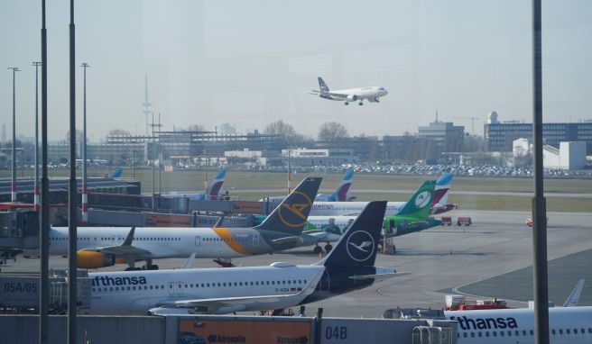 Hamburger Flughafen erklärt sich für CO2-neutral