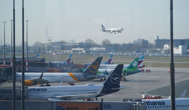 Mogelpackung?  Hamburger Flughafen erklärt sich für CO2-neutral