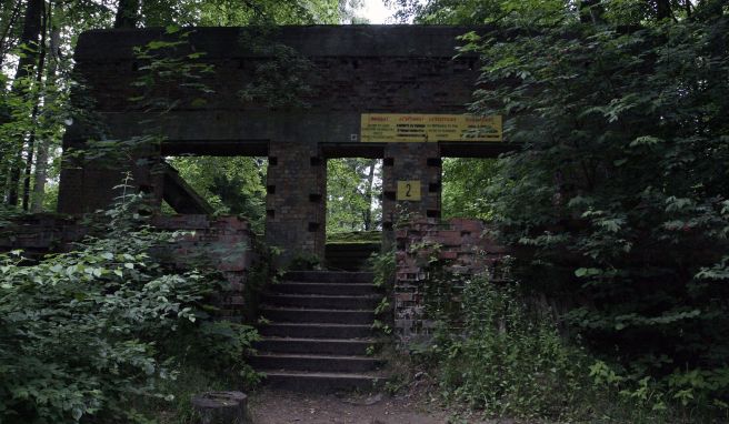 Polen «Wolfsschanze»: Reise in eine dunkle Zeit