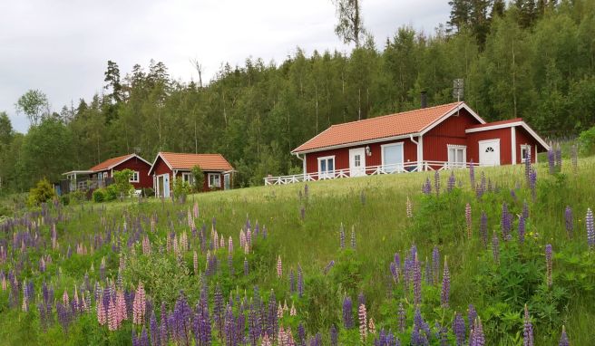 In der schwedischen Natur gibt es eine Vielzahl an Hütten, in denen Reisende kostenfrei übernachten können.