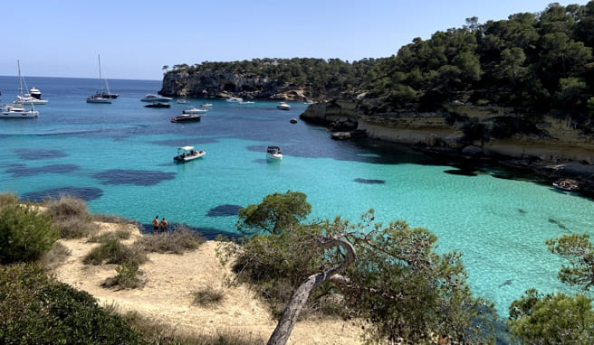 Nächtliche Partys auf Mallorca wieder erlaubt Urlaubsinsel lockert Regeln