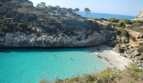 Mallorca   Die Vielseitigkeit der Lieblingsinsel der Deutschen 