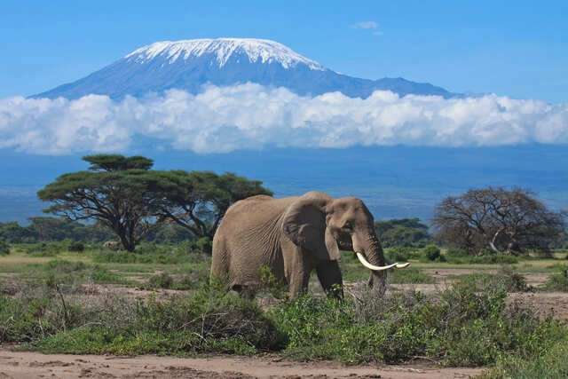 Die Big Five entdecken