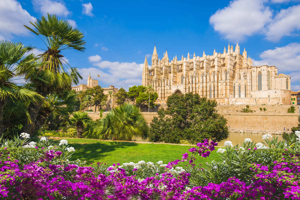 Palma