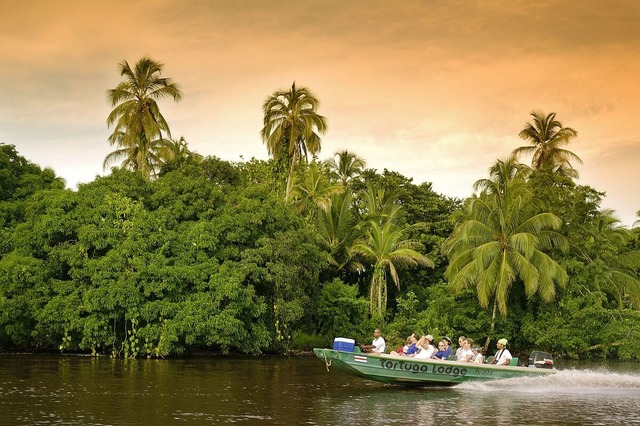 Tortuguero_ICT