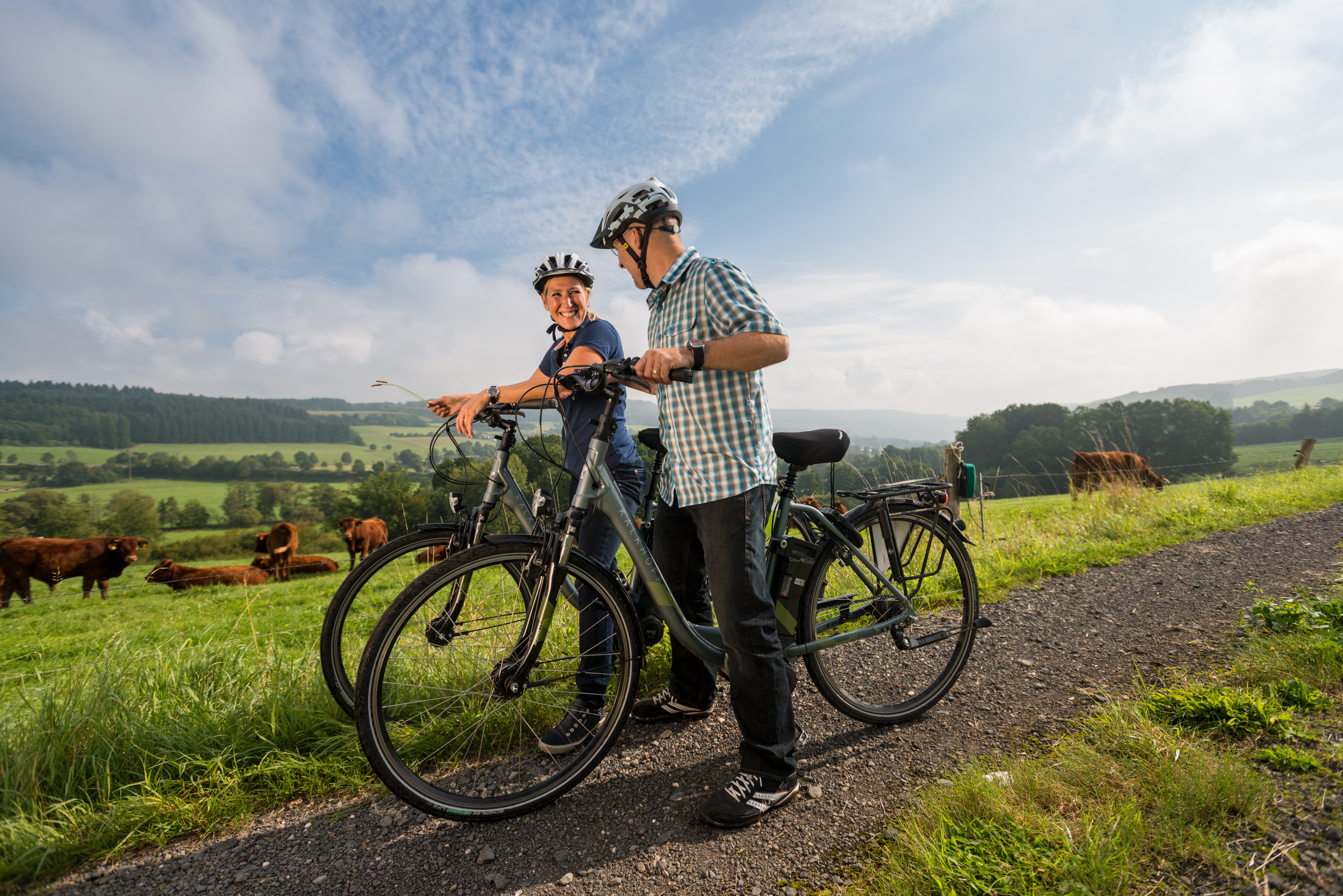 Vorlage abhebenalt= Westerwald2015-245-Nistermuehle_Hachenburg