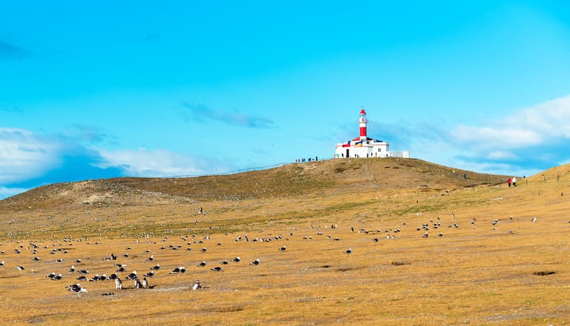  Blick auf den Leuchtturm auf der Isla Magdalena, Patagonien 