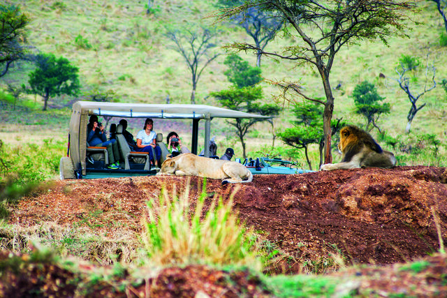 Tansania Im E-Jeep auf Safari
